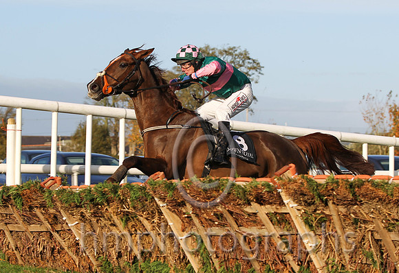 01 Gambling Girl & R M Power - winner (8,dark green, pink hoop ) - FT8E9976