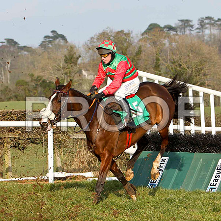 Rowlands Express - 12th, Jockey P Carberry - FT8E0482-e