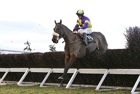 Space Academy 10th, Jockey R Loughran - FT8E9982-e