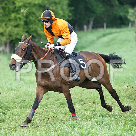 Race 6 Div 1 - Crankie Frankie (5) 2nd, Rider W G Rankin - CU2D9760-e