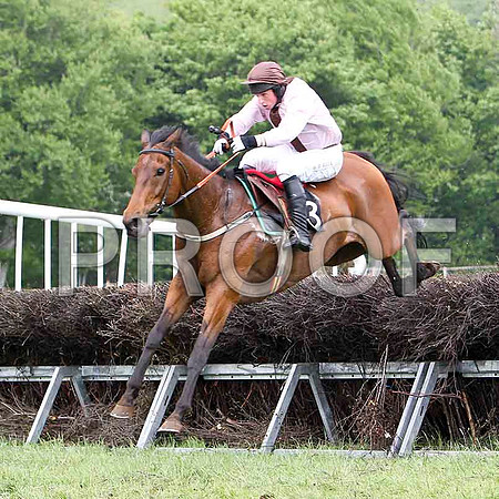Aces or Better, 2nd, Jockey J J Codd - FT8E2538-e