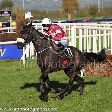 05th Optimised and D J Mullins ( 11 , maron, white star. White cap ) Trainer - G Elliott , Owner - Gigginstown House Stud
