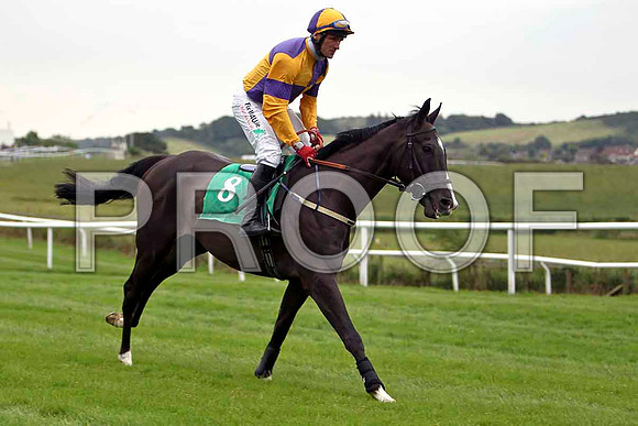 Jack Boland 8th, Jockey J L Cullen- CU2D0896-e2