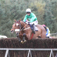 06 OneHellOfANiceGuy & David Joseph O'Leary - 6th (13, emerald green, white hoop) - FT8E0574-21
