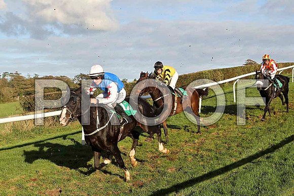 American Star , Jockey P T Enright - 7th  - FT8E4456-e
