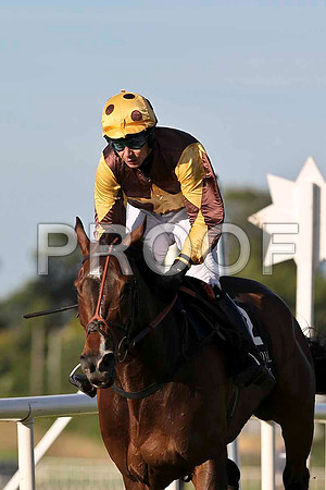 Shernaz 9th, Jockey A P Thornton - FT8E1044-e