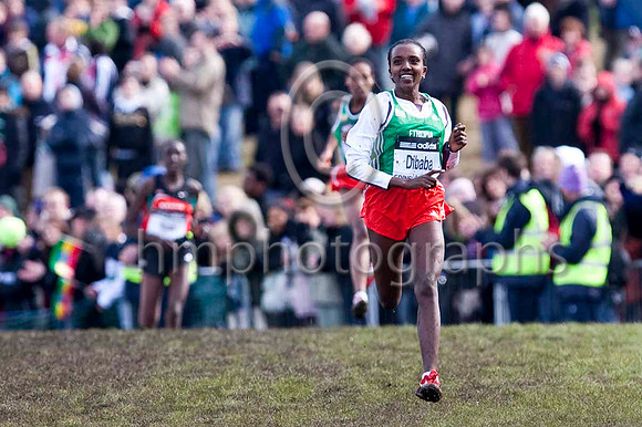 Tirunesh Dibaba (67) Ethopia - Winner -IMG_6096-e