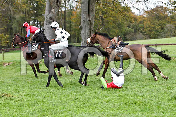 P N O'Brien Jockey of Boston Lord on the ground -FT8E5659-e2
