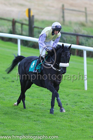01st Mister To Mister and Brian Hayes ( 8 , yellow, mauve sleeves ) Trainer - B Arthey , Owner - C Gault