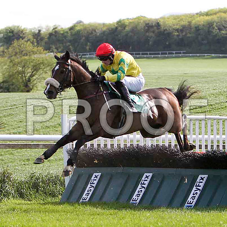 Diamond Fire - 13th, Jockey - S G McDermott - FT8E2870-e