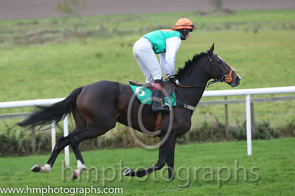 02 Indian Fairy and A F O'Neill - - 02nd (6 ,Green, orange spot, white sleeves ) Trainer - E Doyle