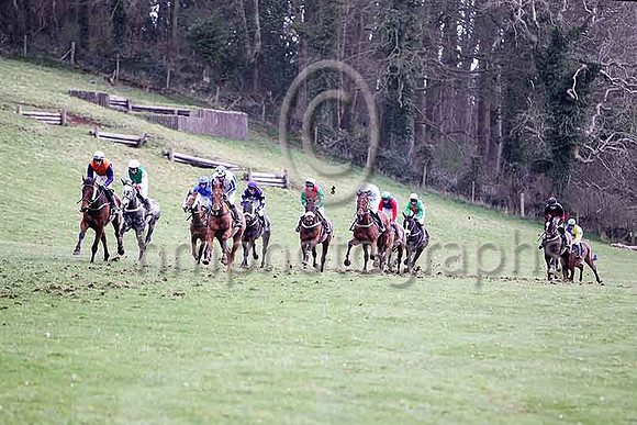 Sixth Race - Shanran in the lead, finished 3rd- CU2D7163-e