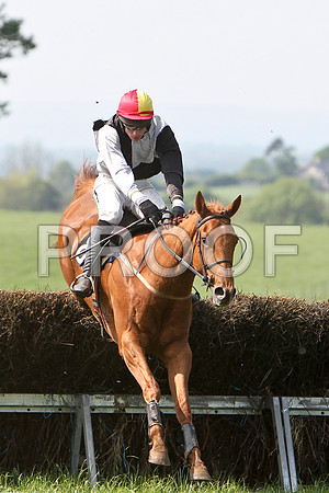 Third Race - Lylehill (8) PU, Rider Derek O'Connor - CU2D9596-e2a