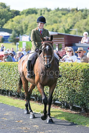 General Principle and Seainin Mahon in the parade ring at Downpatrick. General Principle won the Irish National in 2018 and since his retirement from racing has excelled in Showing including recent su
