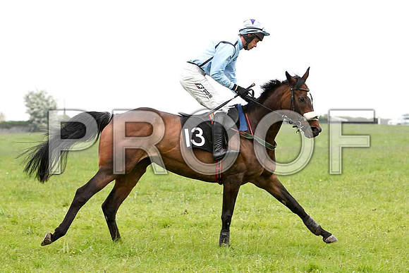Lady Shirley , Winner, Jockey - Derek O'Connor - FT8E2619-e