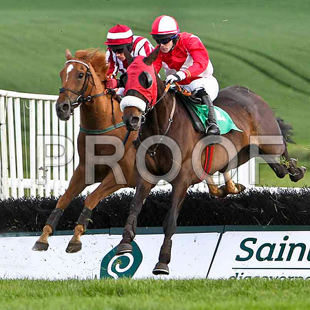 Hawks Cliff, 9th , Jockey D J Condonf & Demoolah , 6th, Jockey M J Ferris - FT8E3037-e2