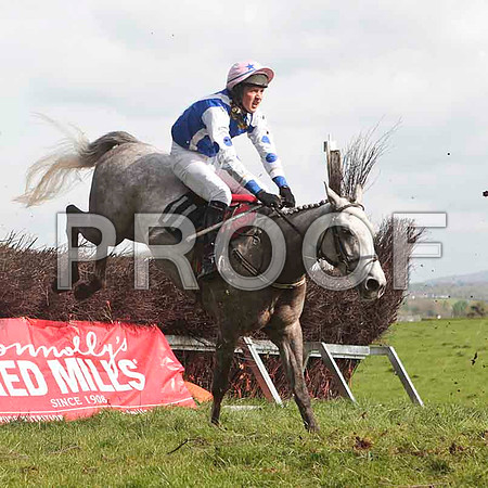 Jinxy Casey , 4th, Jockey - T A Dolan -CU2D4639-e