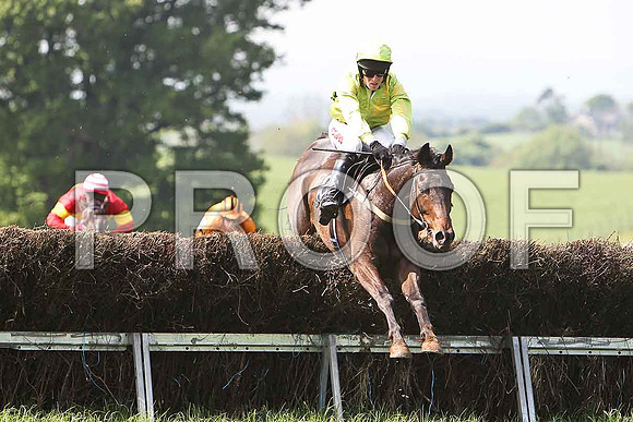Third Race - Nobel Steel (10) Winner, Rider B O'Neill- CU2D9586-e