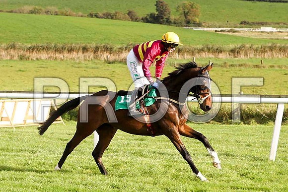 Tullamakulla , Jockey P Townend - PU - FT8E4420-e