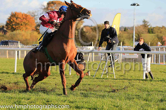 06th Net D'ecosse and Paul Townend ( 5 , maroon, white star, blue cap) Trainer - N Meade , Owner - Gigginstown House Stud