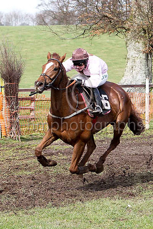 Third Race - Bendecido (16)2nd Div 1 - CU2D7100-e