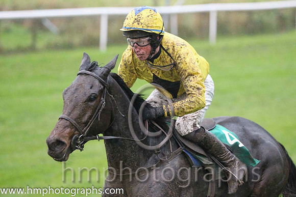 08 Lilly The Lioness & M P Fogarty - 8th (4,yellow, black diamond )- FT8E9129-29