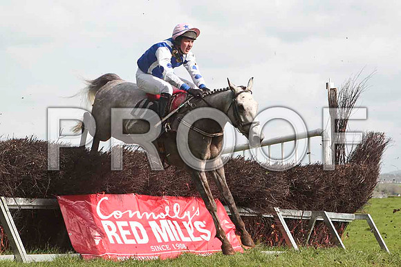 Jinxy Casey , 4th, Jockey - T A Dolan - CU2D4638-e