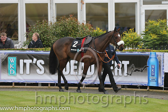 07 Tiger Roll and B J Cooper - PU - 07th (2 ,maroon white star ) Trainer - G Elliott