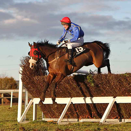 Queen Court 9th, Jockey G N Fox - CU2D3292-e