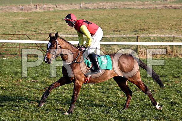 Lord Multifix - 3rd, Jockey Mr J J Codd - FT8E0566-e