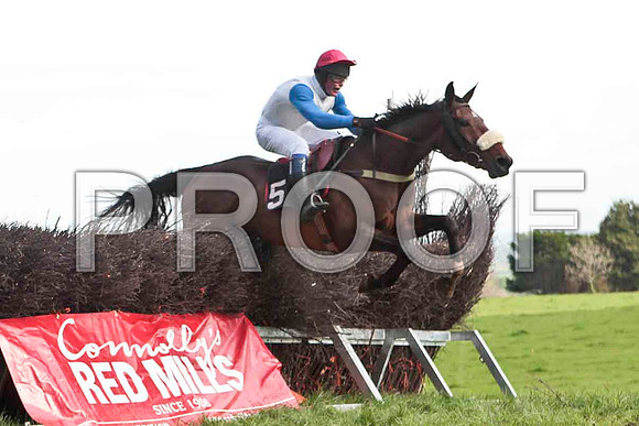 Clyde House , 8th, Jockey - P E Turley - CU2D4658-e