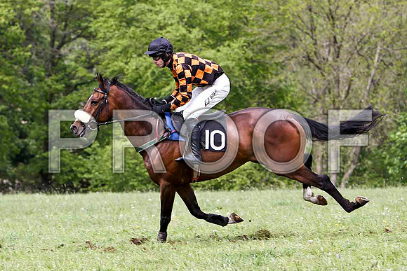 Mister Philson - Winner, Jockey Derek O'Connor - FT8E2479-e