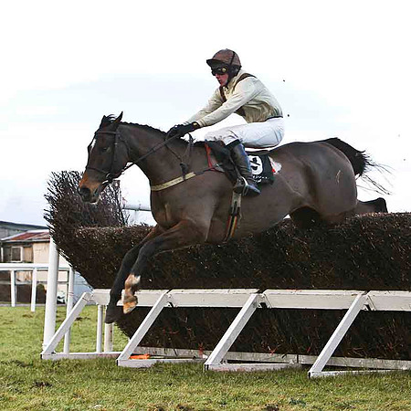 Kyle's Turn 9th, Jockey E Mullins - FT8E9980-e