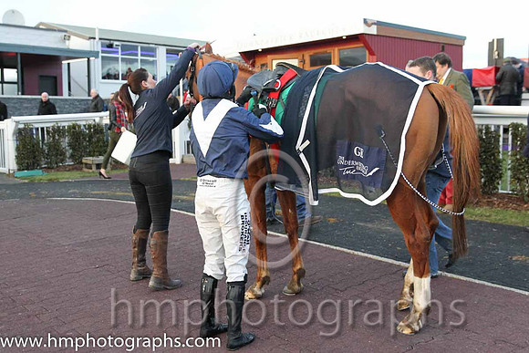 01 Alberta &amp; N. Carberry - Trainer: Gordon Elliott - Owner: Cullentra Racing Syndicate ( blue, white chevron )