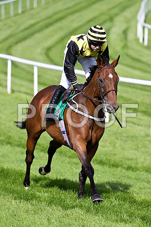 Rossgavand 12th, Jockey T C  Carroll - CU2D1786-e
