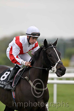R6 - San Diego Prince 13th, Jockey L F Roche - FT8E0540-e