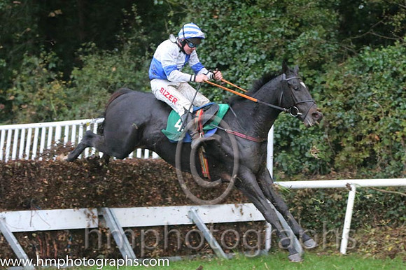 04 Harangue and A E Lynch - - 04th (4 ,Blue and white quarters ) Trainer - P J Gilligan
