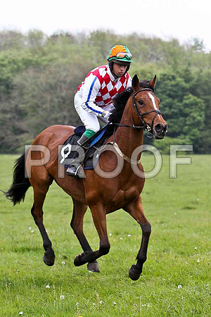 Dunadry Girl , PU, Jockey - J A Jenkins - FT8E2629-e
