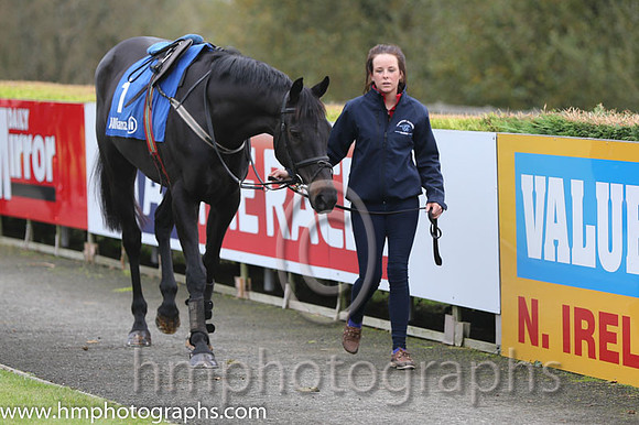 02 Glenquest and A E Lynch - - 02nd (1 ,emerald green, purple star ) Trainer - S R B Crawford