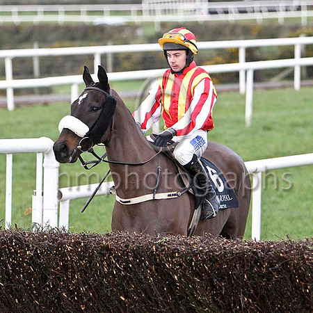 Noble Commander & A P Thornton - 6th - FT8E9097-e