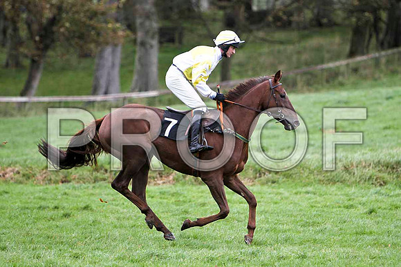 HowAboutNow , Winner - Jockey C Motherway - FT8E5628-e