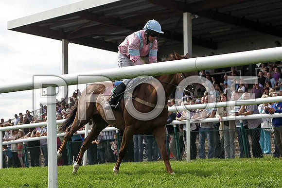 CLifton Debut crosses the line in 3rd place, Jockey A E Lynch - FT8E3075-e