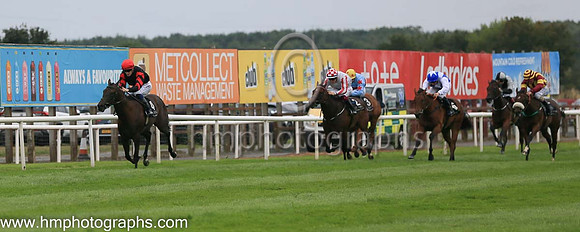 01st Ocean Jewel (4 , black ) Jockey: W J Lee , Trainer: W McCreery