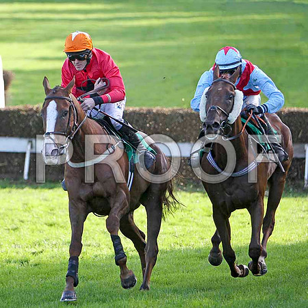 Bachelor Lad - 8th & Benns Quest - 7th - FT8E4850-e