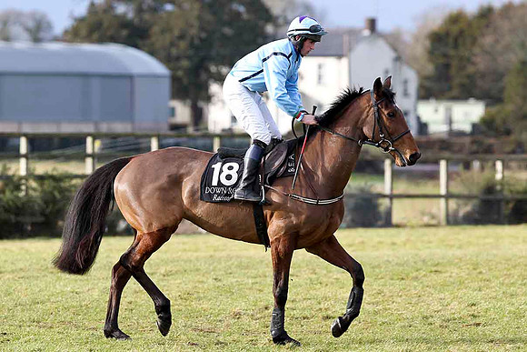 Maid in Moscow - 15th - Jockey Mr R M Johnston - CU2D3161-e