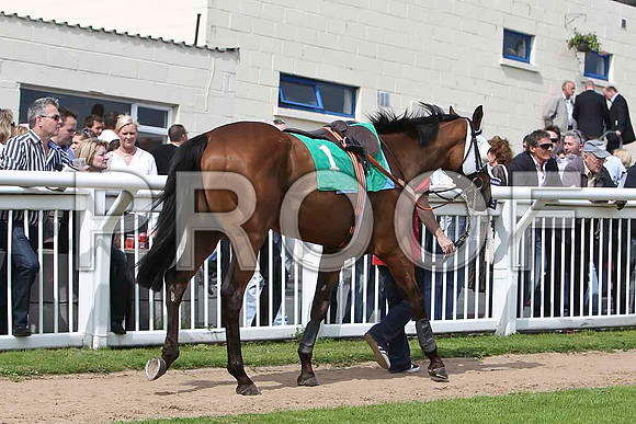 City Hustler 3rd , Jockey Mr M P Fogarty - CU2D1649-e
