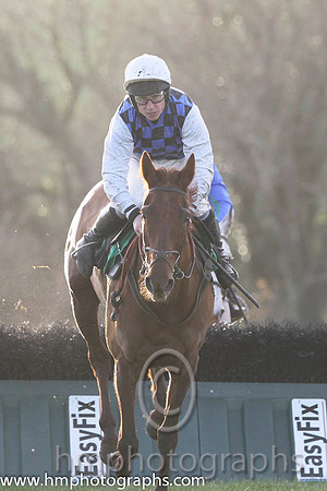 08 Diamond Gesture & P T Enright - 8th (4, royal blue and black check) - FT8E1242-67