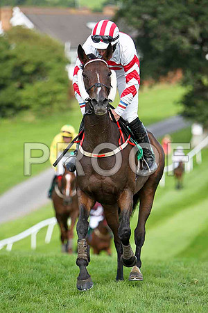 Blue Magneto 8th, Jockey Mr N T  Slevin- CU2D1754-e