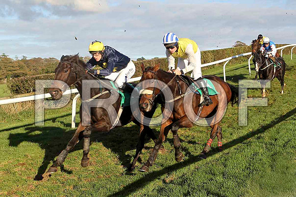 D'S Trix , Jockey Andrew J McNamara - 4th followed by Some Legend , Jockey T J Doyle 6th -FT8E4453-e