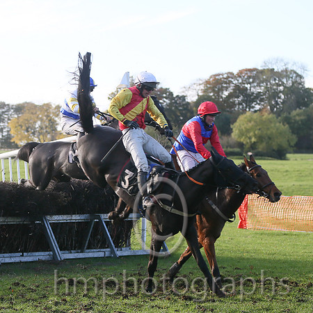 01st American Image and J Cresswell ( 1 , ROYAL BLUE,red hoop; red sleeves; red cap ) Trainer: S. Michael Millar,, Owner : S. Michael Millar